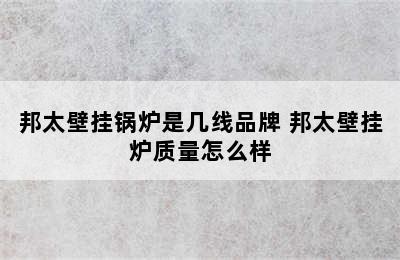 邦太壁挂锅炉是几线品牌 邦太壁挂炉质量怎么样